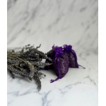 SACULETI DIN ORGANZA MOV CU LAVANDA BIO ~ 15 G ~